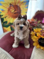 processed/722ca32f-5418-4515-a1b7-0ed498b609d7/facility/b5a43881-c2cd-48aa-9064-a5a900882c13