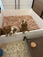 processed/722ca32f-5418-4515-a1b7-0ed498b609d7/facility/ddc3688d-9cbf-4b20-b8b6-8e59cbf233e9