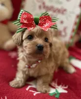 processed/722ca32f-5418-4515-a1b7-0ed498b609d7/facility/e8804141-2c11-42b5-88d2-f7a477c5817d