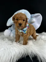 processed/722ca32f-5418-4515-a1b7-0ed498b609d7/facility/eff456ae-c87c-4aac-b487-32990c26d5f9