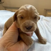 processed/722ca32f-5418-4515-a1b7-0ed498b609d7/listing/02f87364-9b64-4e41-b434-9f6da65b0b99/1d795373-9854-422e-bf1d-8a0cfad668b6