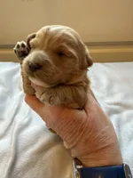 processed/722ca32f-5418-4515-a1b7-0ed498b609d7/listing/02f87364-9b64-4e41-b434-9f6da65b0b99/2e65b85e-b547-4d5d-9884-659ace985bcc