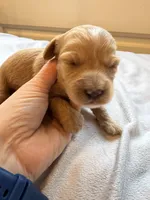 processed/722ca32f-5418-4515-a1b7-0ed498b609d7/listing/02f87364-9b64-4e41-b434-9f6da65b0b99/4d5a0fcb-51dd-4273-8ae0-713bbafaad4f