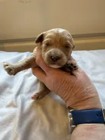 processed/722ca32f-5418-4515-a1b7-0ed498b609d7/listing/02f87364-9b64-4e41-b434-9f6da65b0b99/59356312-ae93-41ee-8f7d-e102c3dedaff