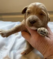 processed/722ca32f-5418-4515-a1b7-0ed498b609d7/listing/02f87364-9b64-4e41-b434-9f6da65b0b99/798861b5-e9b4-46d7-9a3e-6a606e29bc00