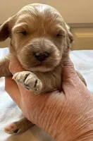 processed/722ca32f-5418-4515-a1b7-0ed498b609d7/listing/02f87364-9b64-4e41-b434-9f6da65b0b99/a53ad001-0a5e-4d19-bd7f-7c8a45a11804