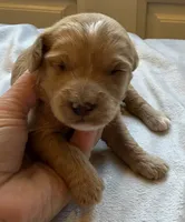 processed/722ca32f-5418-4515-a1b7-0ed498b609d7/listing/02f87364-9b64-4e41-b434-9f6da65b0b99/a79ba5fa-f5ed-486c-a54f-cbd650a00941