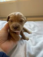 processed/722ca32f-5418-4515-a1b7-0ed498b609d7/listing/02f87364-9b64-4e41-b434-9f6da65b0b99/cf77e5b7-bbd9-4f2d-a7a0-89d4507304f1