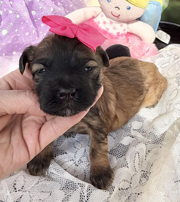 Lainey’s Pink Girl