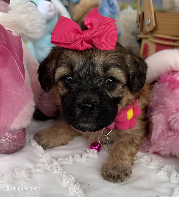 Lainey’s Pink Girl