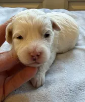 processed/722ca32f-5418-4515-a1b7-0ed498b609d7/listing/4e21aaed-3742-4567-ac45-3532b3683210/564db86d-3889-4055-ab1f-c4af923625af