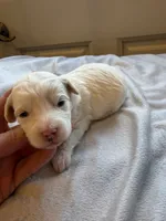 processed/722ca32f-5418-4515-a1b7-0ed498b609d7/listing/4e21aaed-3742-4567-ac45-3532b3683210/a12aee42-e98a-440a-8345-c9605a4ac8f0