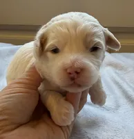 processed/722ca32f-5418-4515-a1b7-0ed498b609d7/listing/4e21aaed-3742-4567-ac45-3532b3683210/aad57235-6efb-451d-8675-f22068cadb53