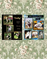 Dolly’s Red Merle/White Girl “Blue Eye”!, a female Maltipoo for sale in Eatonton, GA – Photo 9 of 9