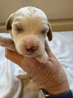 processed/722ca32f-5418-4515-a1b7-0ed498b609d7/listing/74217cbe-b7f6-4579-a39a-1c407130aa05/037b7b67-3906-45a6-b0be-4db0c709f4c6