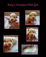 processed/722ca32f-5418-4515-a1b7-0ed498b609d7/listing/74217cbe-b7f6-4579-a39a-1c407130aa05/1a3e2b1e-86d7-49d8-9362-a91ecd609057