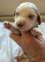 processed/722ca32f-5418-4515-a1b7-0ed498b609d7/listing/74217cbe-b7f6-4579-a39a-1c407130aa05/534e107f-4239-4898-aa39-99f26cdb65ef