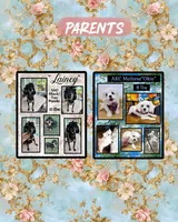 Lainey’s Green Boy with video, a female Maltipoo for sale in Eatonton, GA – Photo 8 of 8