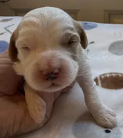 processed/722ca32f-5418-4515-a1b7-0ed498b609d7/listing/92ce2813-3cf4-466c-93f5-915d8d612656/107b808a-717a-467f-adc4-0f3e9b49668d