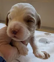 processed/722ca32f-5418-4515-a1b7-0ed498b609d7/listing/92ce2813-3cf4-466c-93f5-915d8d612656/31895114-6f6d-498a-8cd6-0f31661ab536