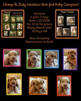 processed/722ca32f-5418-4515-a1b7-0ed498b609d7/listing/92ce2813-3cf4-466c-93f5-915d8d612656/85435c87-40fe-4de5-a147-195ab1477d21