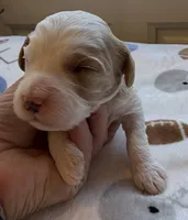 processed/722ca32f-5418-4515-a1b7-0ed498b609d7/listing/92ce2813-3cf4-466c-93f5-915d8d612656/d5e7164f-7797-4839-a7b0-58ebc39f7dd8