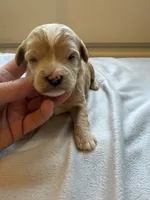 processed/722ca32f-5418-4515-a1b7-0ed498b609d7/listing/cb6dae14-524e-4990-a1ca-d11cf58357bd/1d78627d-34a0-4313-aef2-f9d7a0692c71