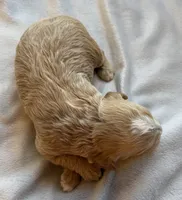 processed/722ca32f-5418-4515-a1b7-0ed498b609d7/listing/cb6dae14-524e-4990-a1ca-d11cf58357bd/3e870984-3e4f-4416-bc3a-0da291816106