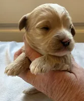 processed/722ca32f-5418-4515-a1b7-0ed498b609d7/listing/cb6dae14-524e-4990-a1ca-d11cf58357bd/74bb47ac-a685-462a-b1dd-264efb226c98