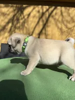 processed/722d60dc-bf92-4c6a-adff-978216c89a55/listing/9ea0d6f8-ae4b-4c1d-8193-c91ecd3e1905/7519eb7e-bd72-4474-9c63-dba83584b520