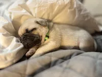 processed/722d60dc-bf92-4c6a-adff-978216c89a55/listing/9ea0d6f8-ae4b-4c1d-8193-c91ecd3e1905/ad774f30-12e4-431b-ae9c-f1a746fbbe00