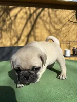 processed/722d60dc-bf92-4c6a-adff-978216c89a55/listing/f0f744df-62fe-4452-bb40-487478f008ee/4d4d851c-f5ba-44ce-8b8b-32389584af6a