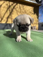 processed/722d60dc-bf92-4c6a-adff-978216c89a55/listing/f0f744df-62fe-4452-bb40-487478f008ee/8759b130-e947-4151-addd-262a917beaab