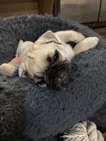 processed/722d60dc-bf92-4c6a-adff-978216c89a55/listing/f0f744df-62fe-4452-bb40-487478f008ee/9a7da6c7-ffc1-41dc-9883-916e0482d943