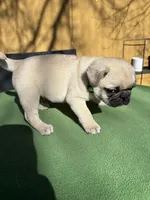 processed/722d60dc-bf92-4c6a-adff-978216c89a55/listing/f0f744df-62fe-4452-bb40-487478f008ee/9f178615-9af9-40d8-8636-a84420122493