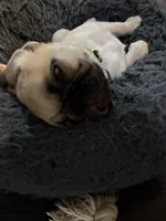 processed/722d60dc-bf92-4c6a-adff-978216c89a55/listing/f0f744df-62fe-4452-bb40-487478f008ee/9f6795ea-d668-4fac-8777-1e182a074d7d