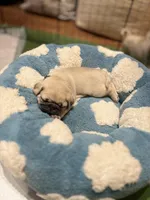 processed/722d60dc-bf92-4c6a-adff-978216c89a55/listing/f0f744df-62fe-4452-bb40-487478f008ee/adb2adef-b78f-4784-bff8-6723eb9a12cf