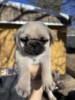 processed/722d60dc-bf92-4c6a-adff-978216c89a55/listing/f0f744df-62fe-4452-bb40-487478f008ee/c2edf6ee-3a2c-4bdd-8acb-e7e7b5891ae0