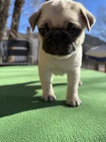 processed/722d60dc-bf92-4c6a-adff-978216c89a55/listing/f0f744df-62fe-4452-bb40-487478f008ee/cb4283f9-0b9c-41b4-8b44-ce98464d3492