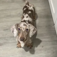 processed/722e1285-575d-4441-978a-f4344a213db5/facility/03b2890f-1cd6-43b0-9350-e438a44bbfe2