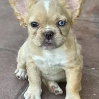 processed/722e1285-575d-4441-978a-f4344a213db5/facility/48cd52ea-1556-416e-8aac-8eb6a74c134b