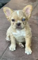 processed/722e1285-575d-4441-978a-f4344a213db5/facility/48cd52ea-1556-416e-8aac-8eb6a74c134b