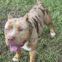 processed/722e1285-575d-4441-978a-f4344a213db5/facility/5401cf69-b0d0-45bd-834a-98b20fa62518