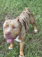 processed/722e1285-575d-4441-978a-f4344a213db5/facility/5401cf69-b0d0-45bd-834a-98b20fa62518