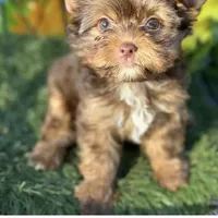 processed/722e1285-575d-4441-978a-f4344a213db5/facility/73a99f75-0933-4f0e-97e7-57ff3841e21a