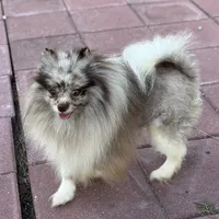 processed/722e1285-575d-4441-978a-f4344a213db5/facility/80cc7926-cb96-4871-bce2-b96b59d8653d