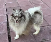 processed/722e1285-575d-4441-978a-f4344a213db5/facility/80cc7926-cb96-4871-bce2-b96b59d8653d