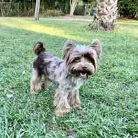 processed/722e1285-575d-4441-978a-f4344a213db5/facility/9457ee4e-9b5f-4258-97d4-a49e7ebc8423