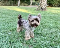 processed/722e1285-575d-4441-978a-f4344a213db5/facility/9457ee4e-9b5f-4258-97d4-a49e7ebc8423