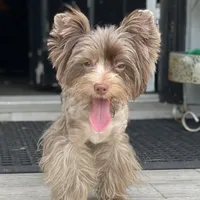 processed/722e1285-575d-4441-978a-f4344a213db5/facility/c09e142c-fd58-4c0b-bbbe-1e2018878a8f